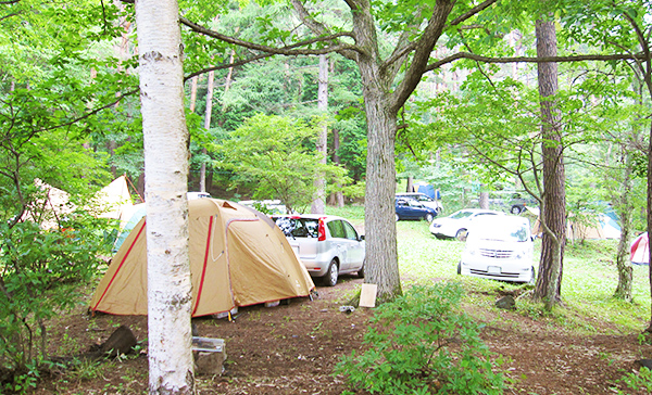 テントを張ってキャンプもできます